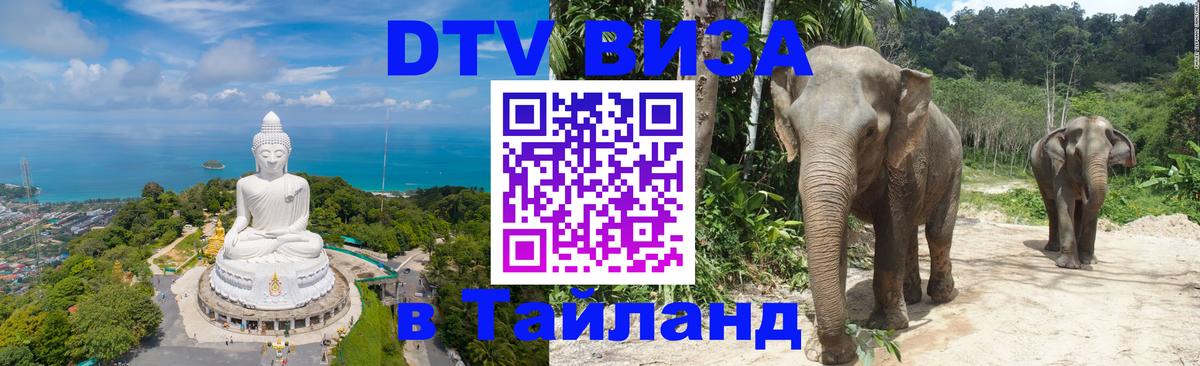 Оформление DTV визы под ключ: стоимость и тарифы, только загранпаспорт - 